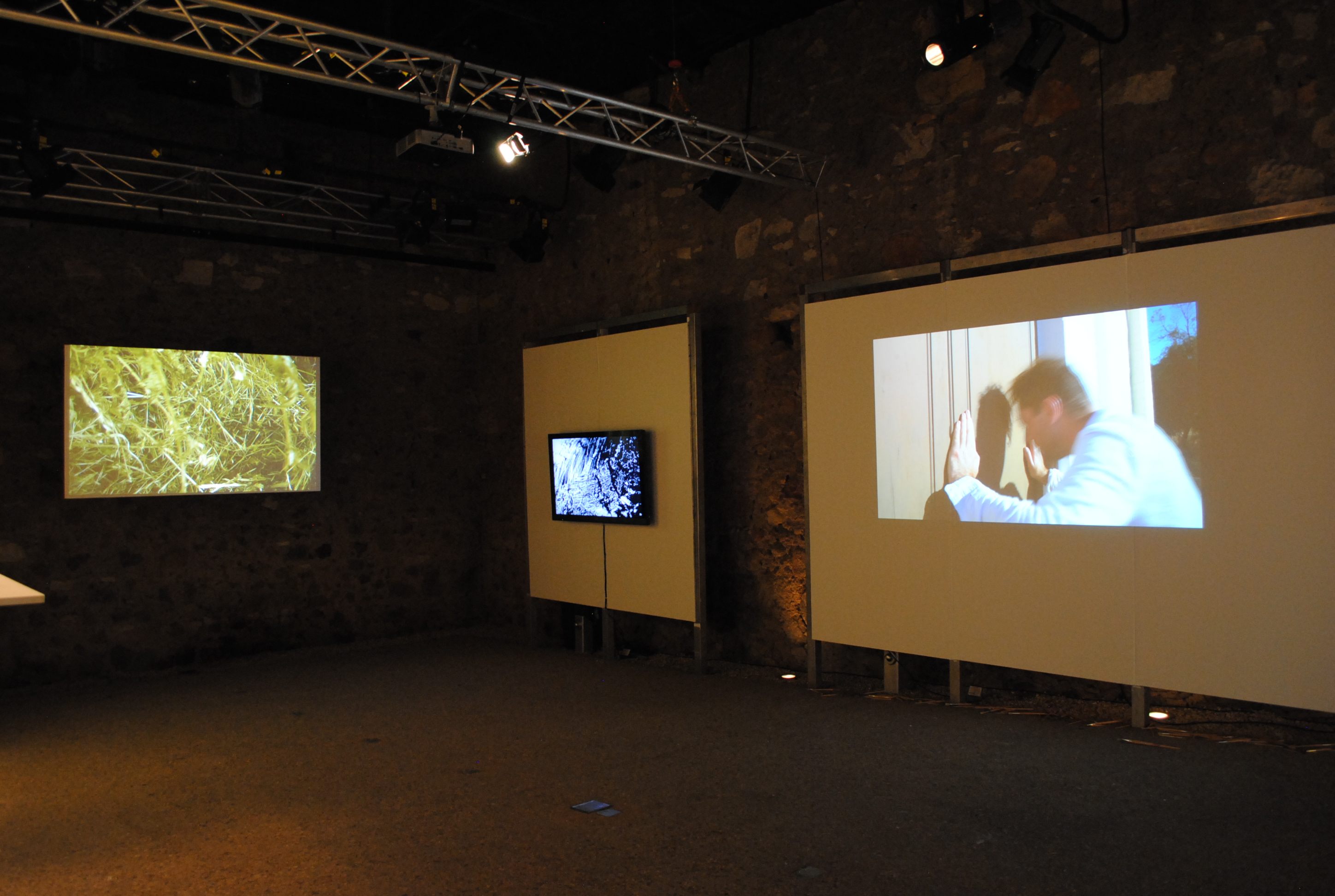 GLOVER IN ARCADIA - Video works displayed in Rosny Barn